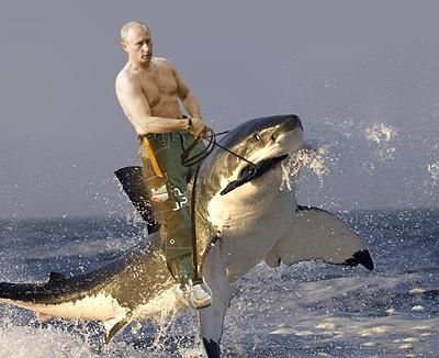 Vladimir Putin Rids a Shark