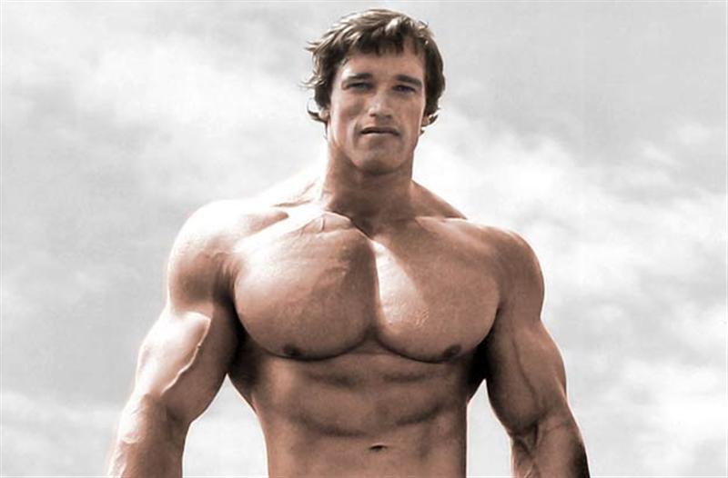 Arnold Schwarzenegger Brains Brawn And Body Biographies By