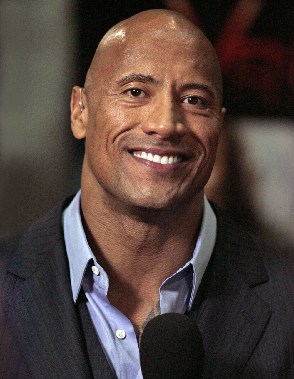 biography for the rock