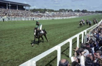 Shergar, on his way to winning the 1981 Epsom Derby