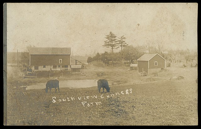 South view Gunness Farm Date: 1908. Credit:  Steve Shook from Moscow, Idaho, USA - South View Gunness Farm, 1908 - Belle Gunness, CC BY 2.0